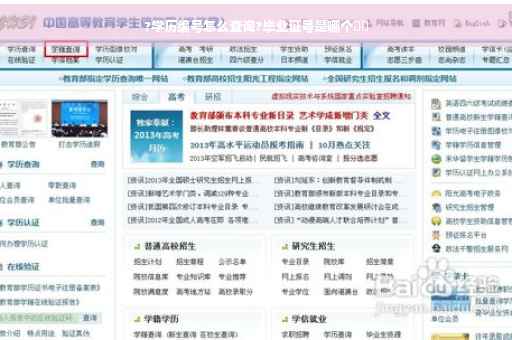 ?学历编号怎么查询?毕业证号是哪个⚡️
