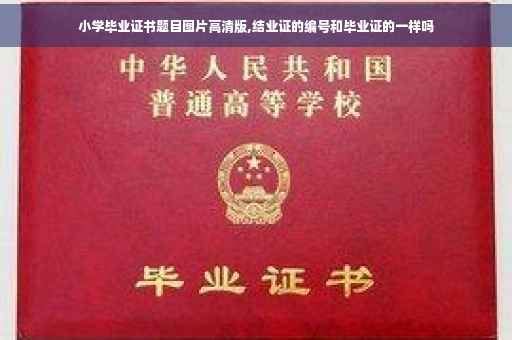 小学毕业证书题目图片高清版,结业证的编号和毕业证的一样吗