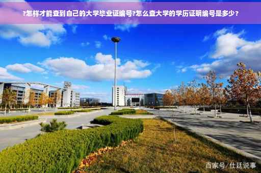 ?怎样才能查到自己的大学毕业证编号?怎么查大学的学历证明编号是多少?