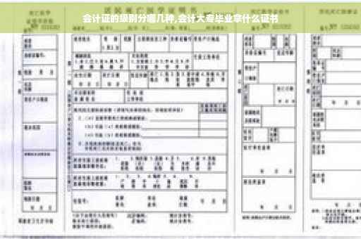 会计证的级别分哪几种,会计大专毕业拿什么证书