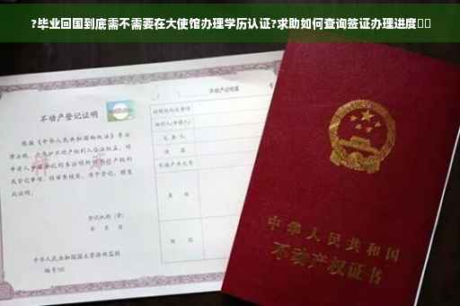 ?毕业回国到底需不需要在大使馆办理学历认证?求助如何查询签证办理进度⚡️
