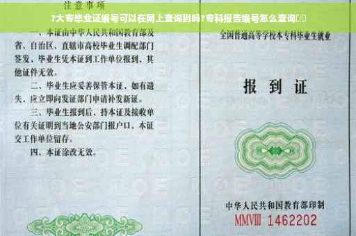 ?大专毕业证编号可以在网上查询到吗?专科报告编号怎么查询⚡️