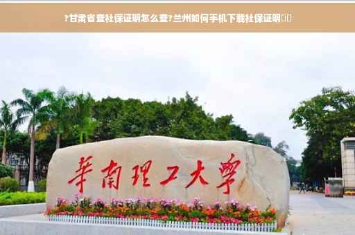 ?甘肃省查社保证明怎么查?兰州如何手机下载社保证明⚡️