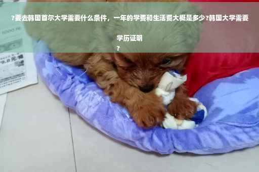 ?要去韩国首尔大学需要什么条件，一年的学费和生活费大概是多少?韩国大学需要学历证明
?