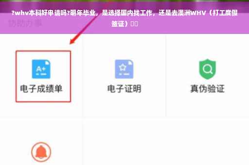 ?whv本科好申请吗?明年毕业，是选择国内找工作，还是去澳洲WHV（打工度假签证）⚡️