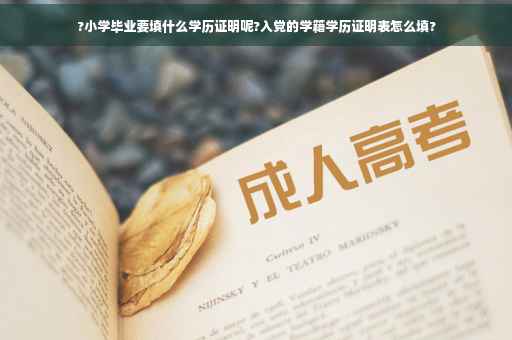?小学毕业要填什么学历证明呢?入党的学籍学历证明表怎么填?