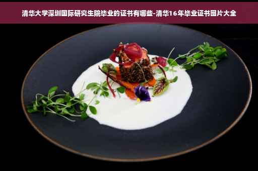 清华大学深圳国际研究生院毕业的证书有哪些-清华16年毕业证书图片大全