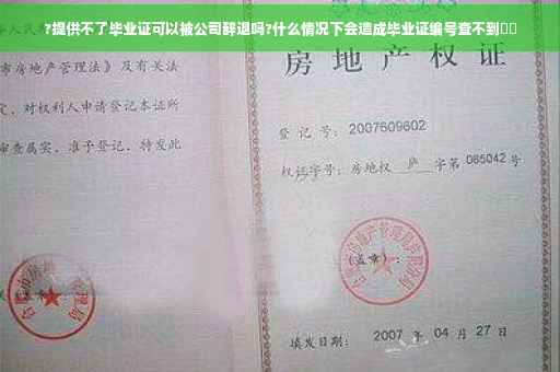 ?提供不了毕业证可以被公司辞退吗?什么情况下会造成毕业证编号查不到⚡️