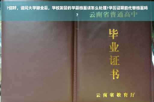 ?你好，请问大学肄业后，学校发回的学籍档案该怎么处理?学历证明能代替档案吗?