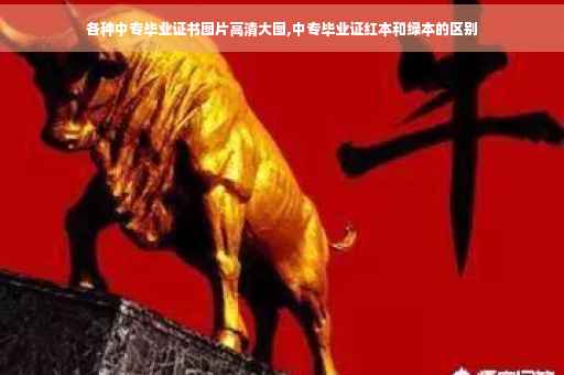 各种中专毕业证书图片高清大图,中专毕业证红本和绿本的区别