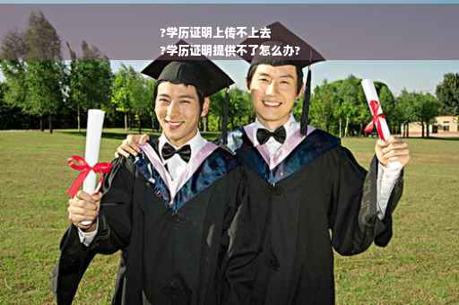 ?学历证明上传不上去
?学历证明提供不了怎么办?