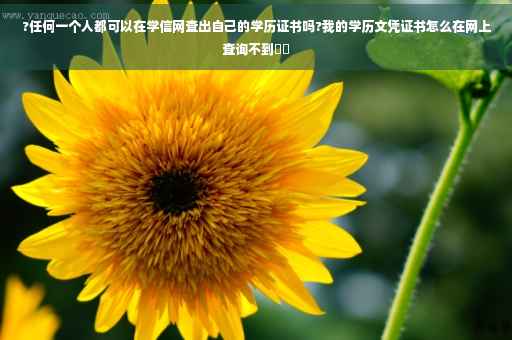 ?任何一个人都可以在学信网查出自己的学历证书吗?我的学历文凭证书怎么在网上查询不到⚡️