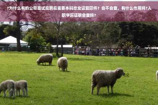 ?为什么有的公司面试应聘后需要本科毕业证复印件？会不会查，有什么作用吗?入职学历证明会查吗?