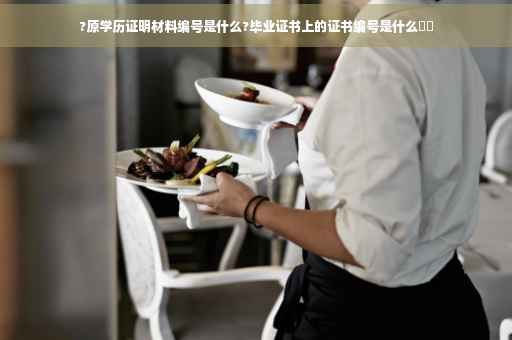 ?原学历证明材料编号是什么?毕业证书上的证书编号是什么⚡️