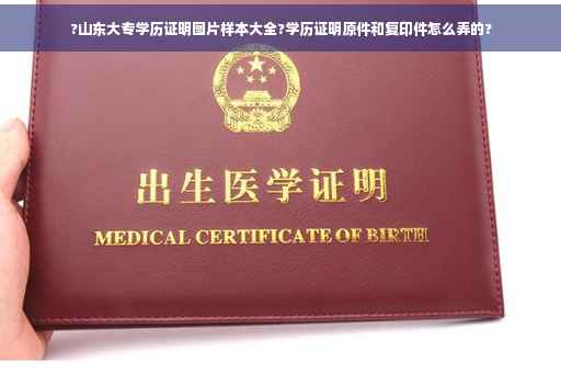 ?山东大专学历证明图片样本大全?学历证明原件和复印件怎么弄的?