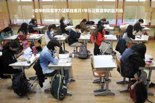 ?退学的同等学力证明找谁开?学历证明退学的能开吗
?