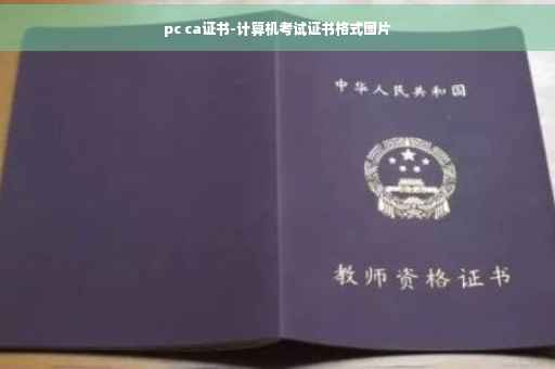 pc ca证书-计算机考试证书格式图片