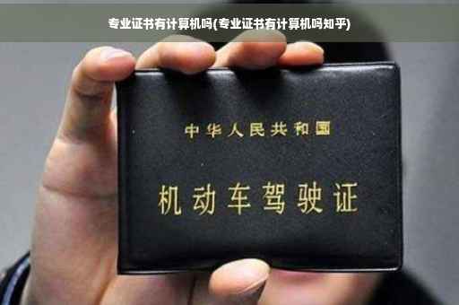 专业证书有计算机吗(专业证书有计算机吗知乎)