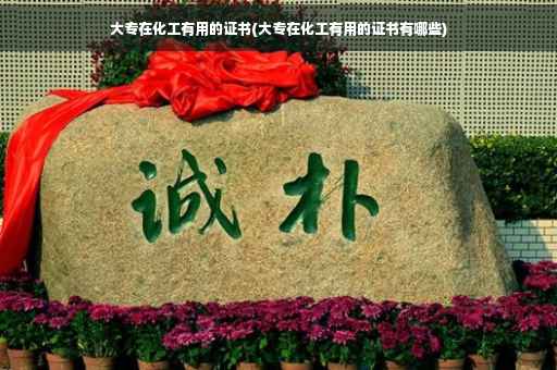 大专在化工有用的证书(大专在化工有用的证书有哪些)