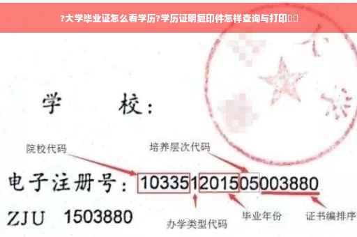 ?大学毕业证怎么看学历?学历证明复印件怎样查询与打印⚡️