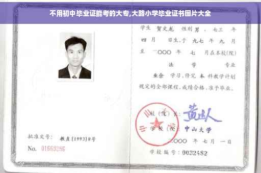 不用初中毕业证能考的大专,大路小学毕业证书图片大全