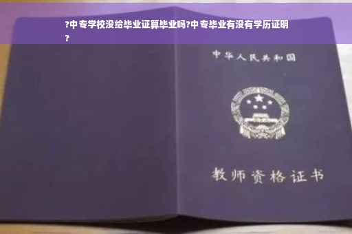 ?中专学校没给毕业证算毕业吗?中专毕业有没有学历证明
?