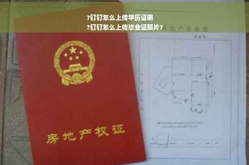 ?钉钉怎么上传学历证明
?钉钉怎么上传毕业证照片?