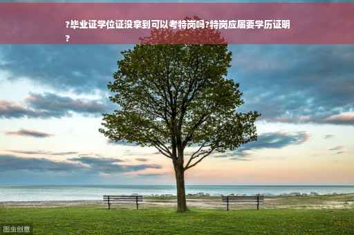 ?毕业证学位证没拿到可以考特岗吗?特岗应届要学历证明
?