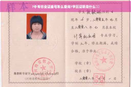 ?中专毕业证编号怎么查询?学历证明是什么⚡️