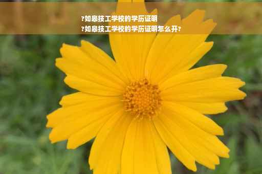 ?如皋技工学校的学历证明
?如皋技工学校的学历证明怎么开?