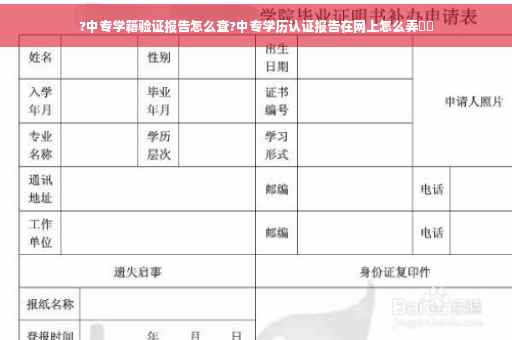 ?中专学籍验证报告怎么查?中专学历认证报告在网上怎么弄⚡️