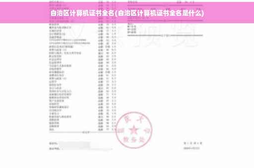 自治区计算机证书全名(自治区计算机证书全名是什么)