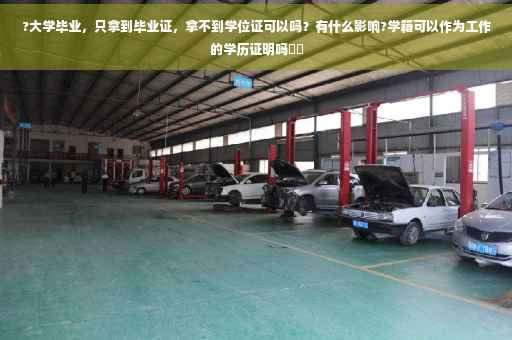 ?大学毕业，只拿到毕业证，拿不到学位证可以吗？有什么影响?学籍可以作为工作的学历证明吗⚡️