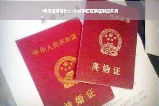 ?学历证明是什么?小孩学历证明在哪里开具
?