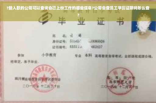 ?新入职的公司可以查询自己上份工作的哪些信息?公司会查员工学历证明吗怎么查?