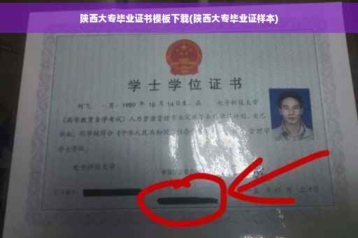 陕西大专毕业证书模板下载(陕西大专毕业证样本)
