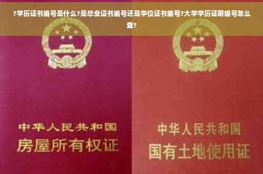 ?学历证书编号是什么?是毕业证书编号还是学位证书编号?大学学历证明编号怎么查?