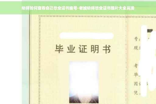 幼师如何查看自己毕业证书编号-老城幼师毕业证书图片大全高清