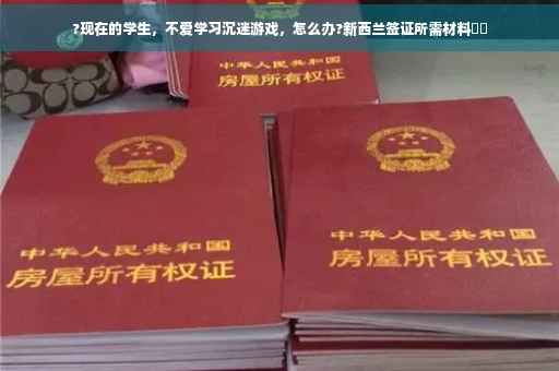 ?现在的学生，不爱学习沉迷游戏，怎么办?新西兰签证所需材料⚡️