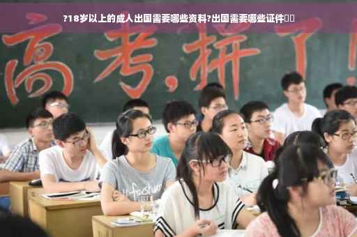 ?18岁以上的成人出国需要哪些资料?出国需要哪些证件⚡️