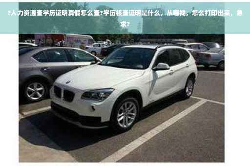 ?人力资源查学历证明真假怎么查?学历核查证明是什么，从哪找，怎么打印出来，急求?