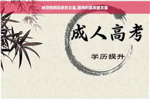 欢迎狗狗回家的文案,撸狗的朋友圈文案