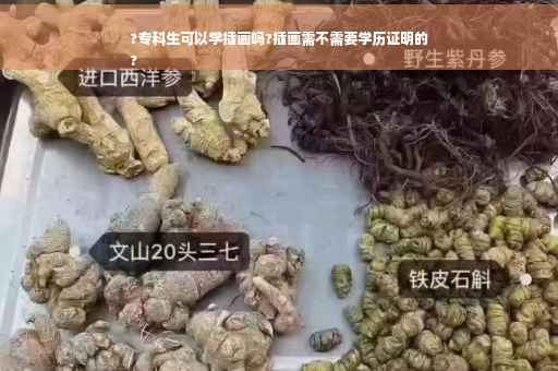 ?专科生可以学插画吗?插画需不需要学历证明的
?