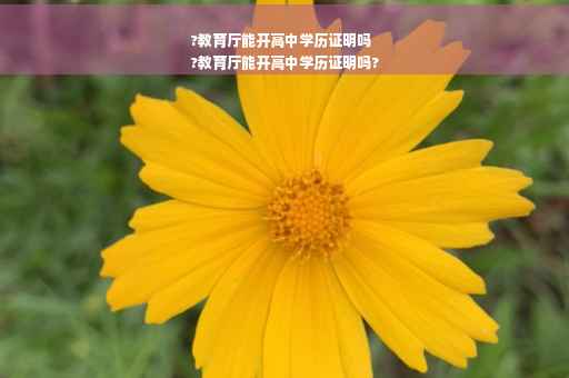 ?教育厅能开高中学历证明吗
?教育厅能开高中学历证明吗?