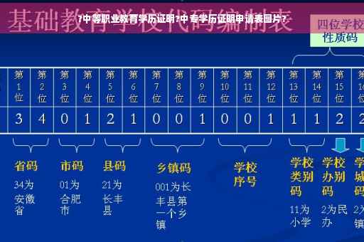 ?中等职业教育学历证明?中专学历证明申请表图片?