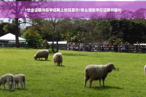 ?毕业证明书在学信网上如何显示?怎么得到学历证明书图片
? ?毕业证明书在学信网上如何显示?怎么得到学历证明书图片
?