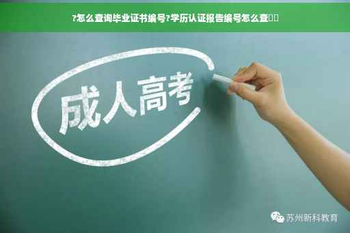 ?怎么查询毕业证书编号?学历认证报告编号怎么查⚡️