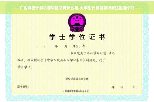 广东高校计算机等级证书有什么用,大学生计算机等级考试报哪个好
