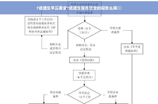 ?选调生学历要求?选调生报名毕业时间怎么填⚡️