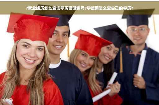 ?就业经历怎么查询学历证明编号?学信网怎么查自己的学历?